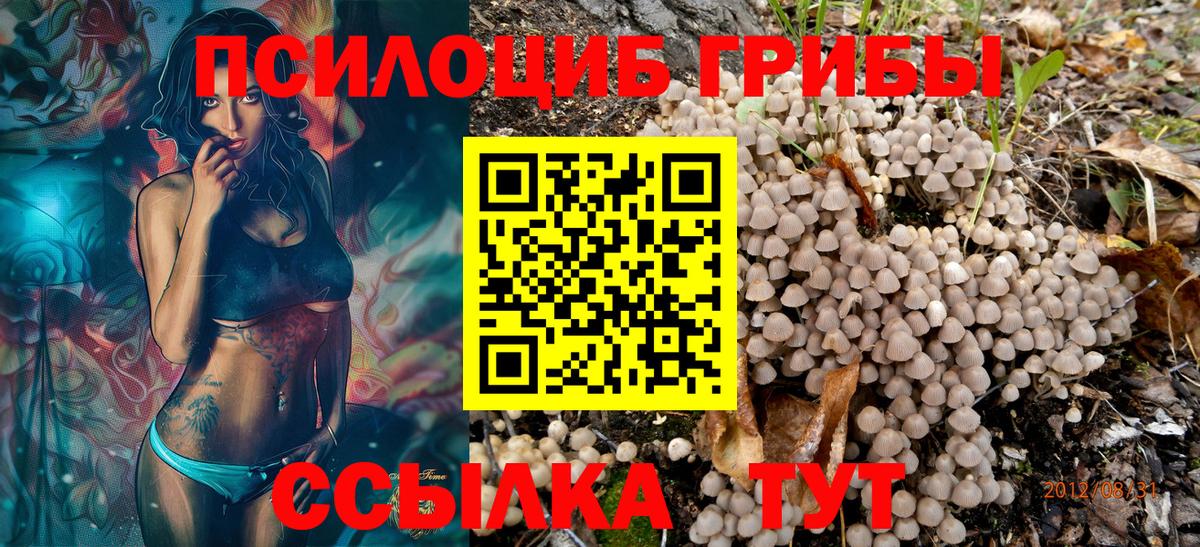 Галлюциногенные грибы Magic Shrooms  Вход с VPN  Отрадное 